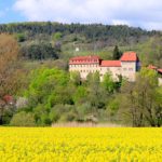 Burg Creuzburg