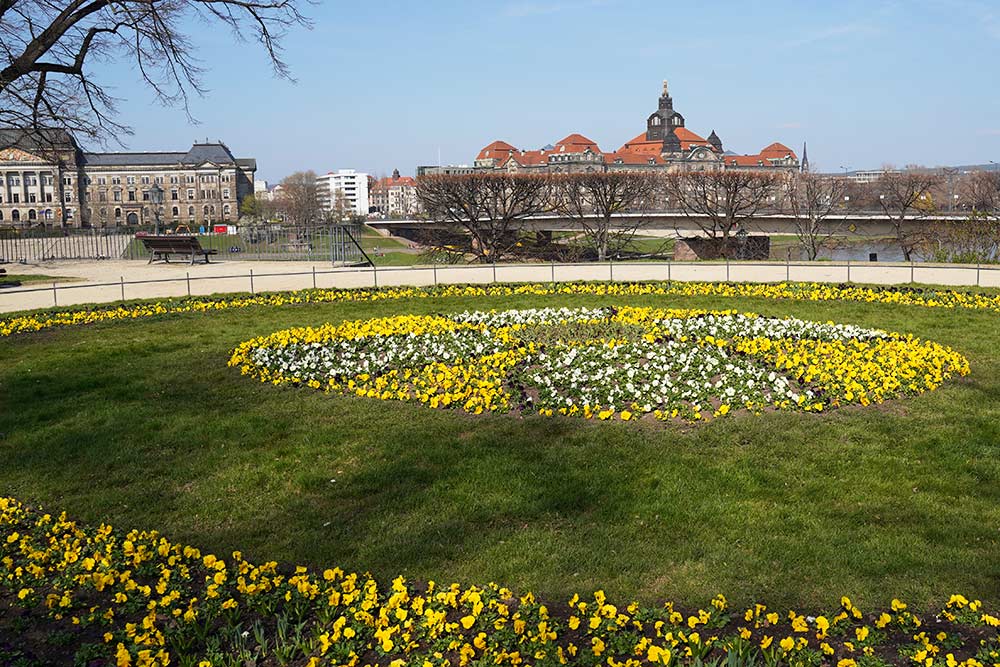 Frühling in Dresden